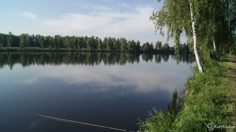 Zdjęcie Łowisko Bażyna - odkryj najlepsze miejsca na wędkowanie i relaks