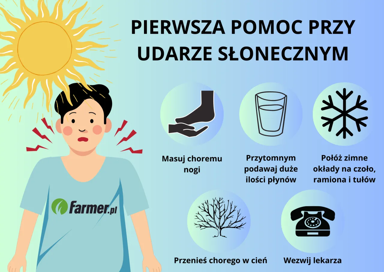 Zdjęcie Udar słoneczny jak postępować: kluczowe objawy i pierwsza pomoc