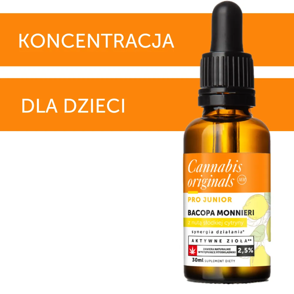 Zdjęcie Gdzie można kupić olejek CBD? Sprawdź najlepsze źródła w Polsce