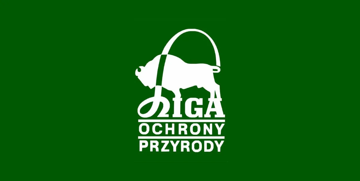 Zdjęcie Kiedy powstała liga ochrony przyrody? Odkryj jej fascynującą historię