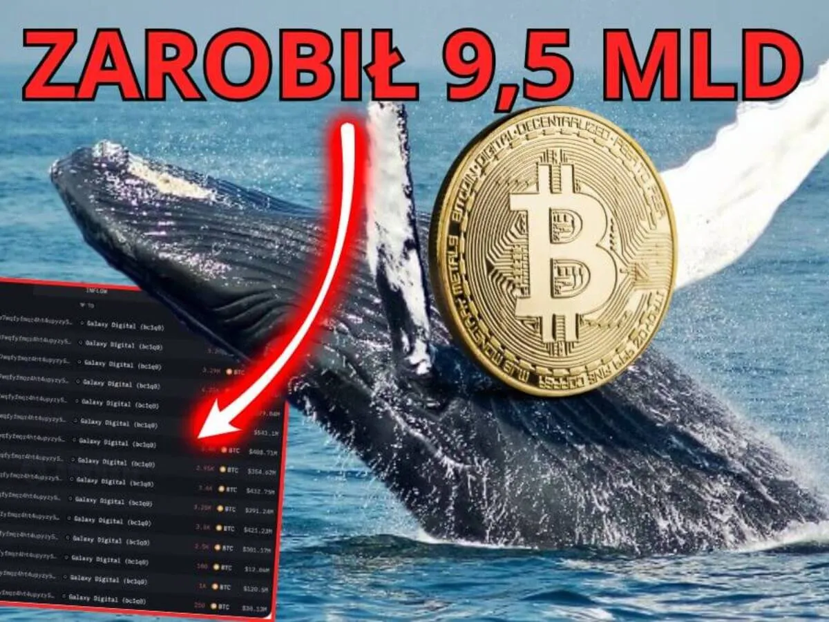 Zdjęcie Arka: Uśpione wieloryby przenoszą miliardy w BTC. Jak nisko może spaść cena Bitcoina?