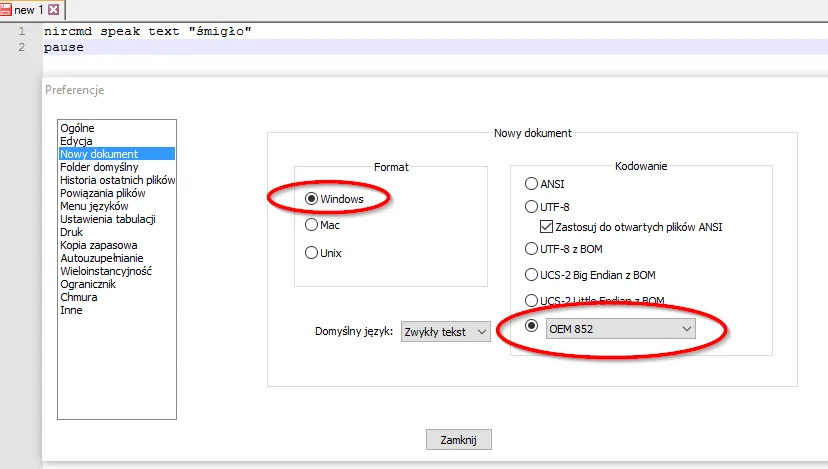 Zdjęcie Jak zrobić polskie znaki w HTML, aby uniknąć problemów z wyświetlaniem