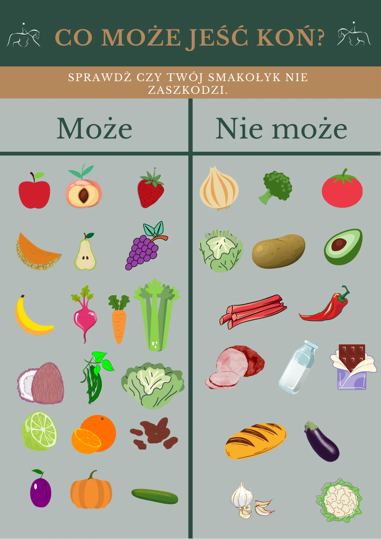 Zdjęcie Co jedzą konie? Odkryj, co jest niezbędne dla ich zdrowia