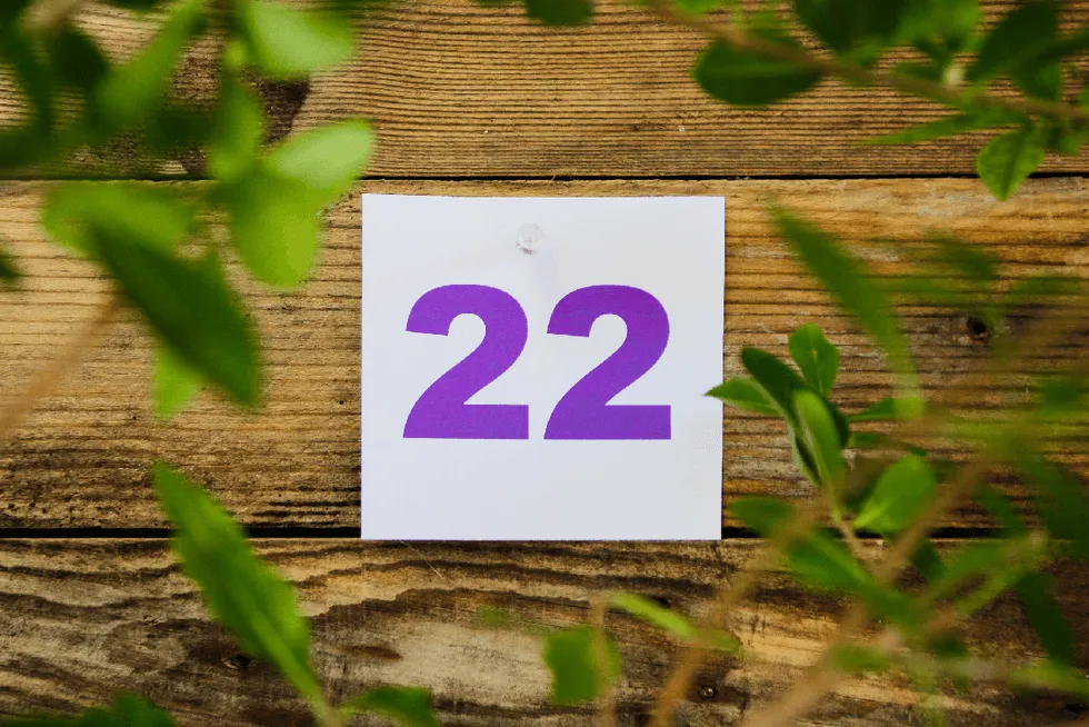 Zdjęcie Znaczenie liczby 22 w numerologii - wpływ na życie