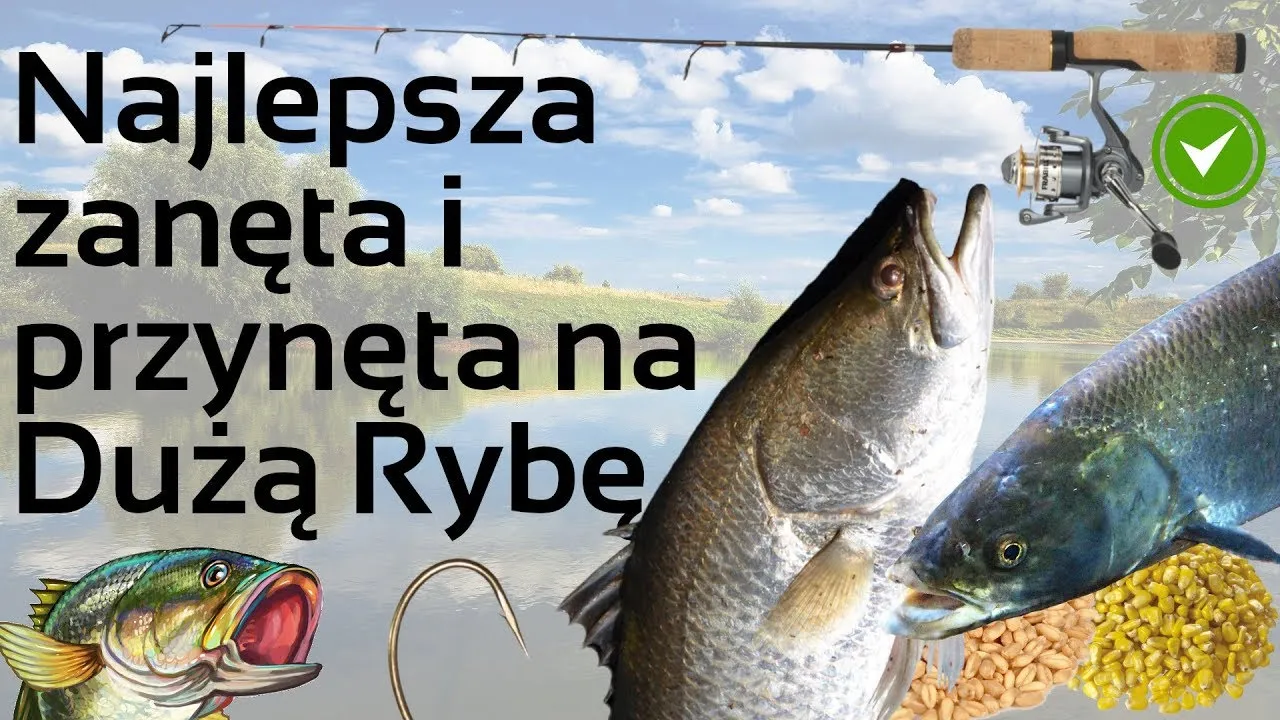 Zdjęcie Jak zrobić zanętę na ryby krok po kroku - domowy przepis na skuteczne połowy