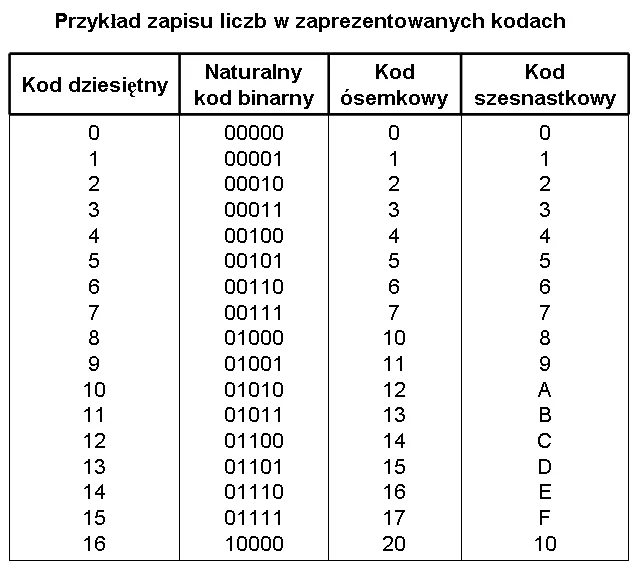 Zdjęcie Co to jest system binarny i dlaczego jest kluczowy w technologii?