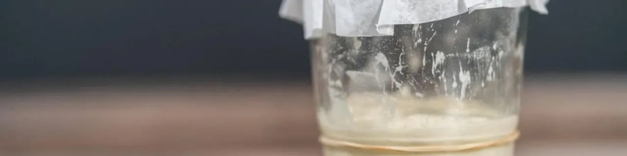 Zdjęcie Co to jest smalec i dlaczego warto go znać w kuchni?