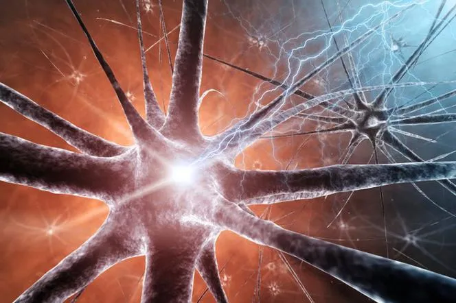 Zdjęcie Jakie badania na stwardnienie rozsiane? Kluczowe testy i diagnostyka