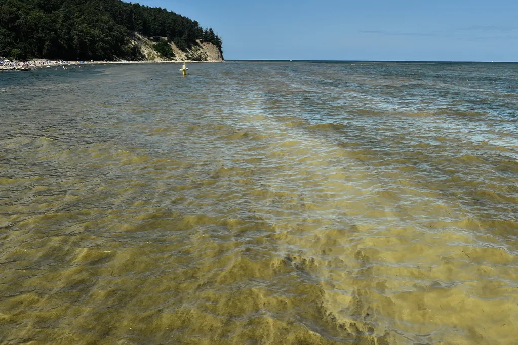 Zdjęcie Najczystsza woda w Bałtyku: 7 polskich plaż z krystalicznie czystą wodą