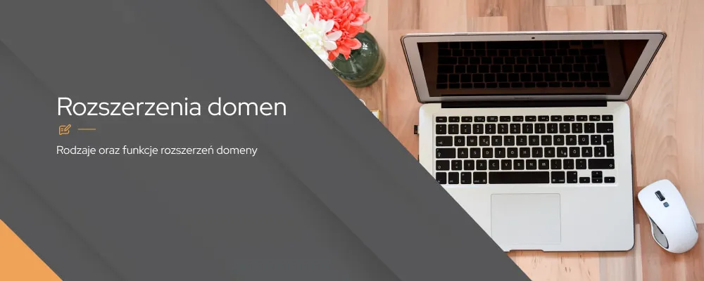 Zdjęcie Jakie są domeny? Odkryj różne typy i ich zastosowania w Internecie