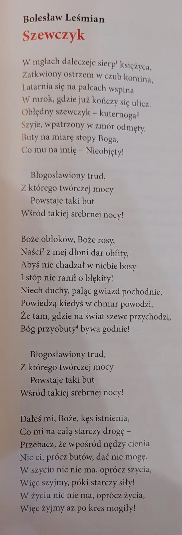 Zdjęcie Wiersz Szewczyk Bolesława Leśmiana: głębia egzystencji i pracy