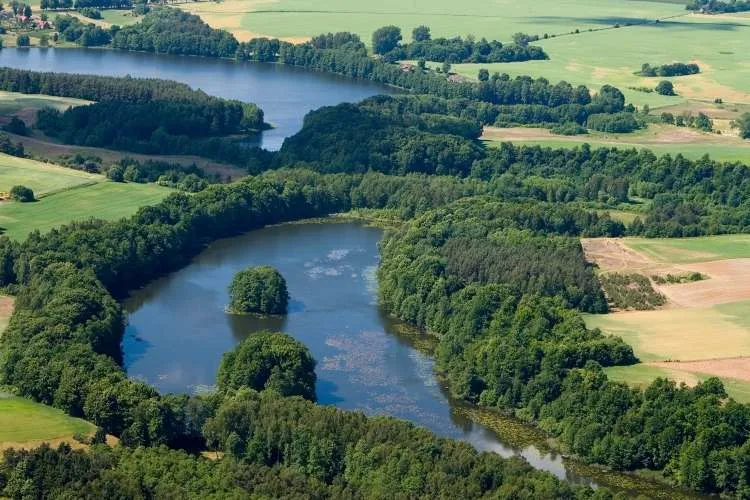 Zdjęcie Jezioro Łąkie - największy akwen w gminie Skępe: mapa, głębokość i atrakcje