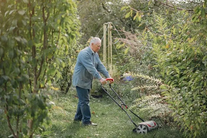 Zdjęcie Skuteczne sposoby, aby trawa nie rosła przy płocie i zaoszczędzić czas