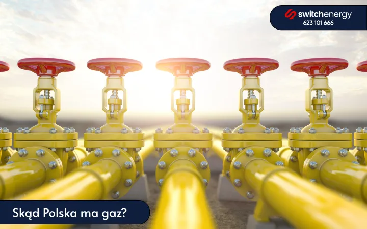 Zdjęcie Skąd Polska bierze gaz LPG? Zaskakujące źródła importu w 2025 roku
