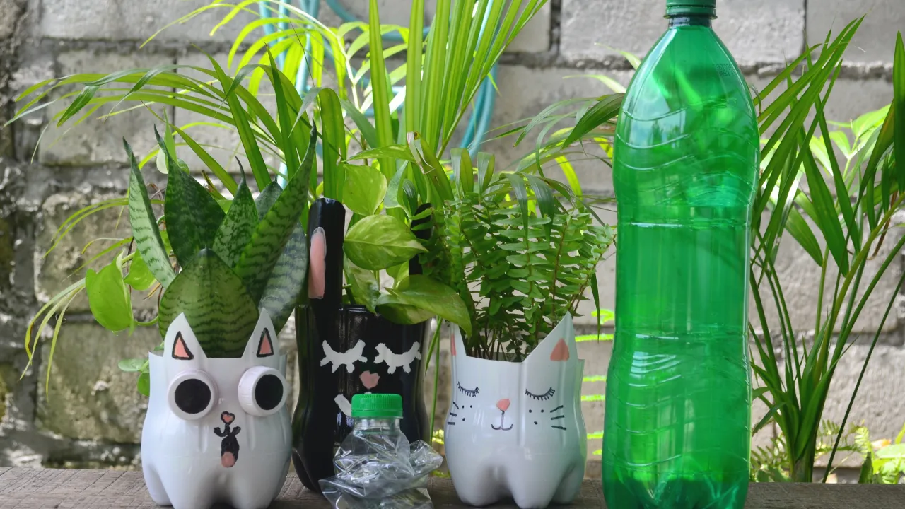 Zdjęcie Jak zrobić kwietnik z butelek plastikowych: 10 prostych kroków