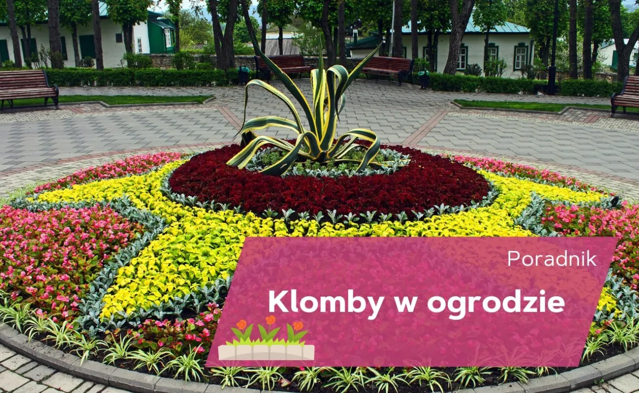 Zdjęcie Jak zrobić klomb ogrodowy – krok po kroku do pięknego ogrodu