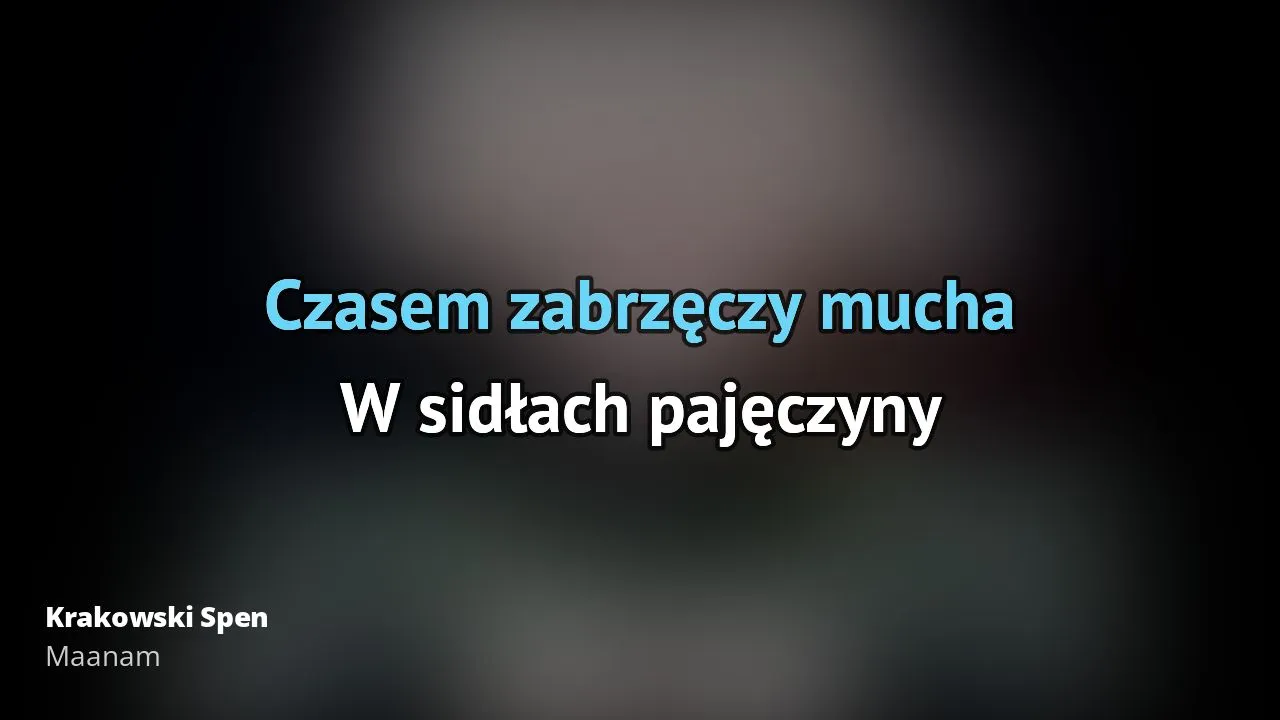 Zdjęcie Krakowski spleen - poznaj tekst piosenki czekam na wiatr co rozgoni Maanam