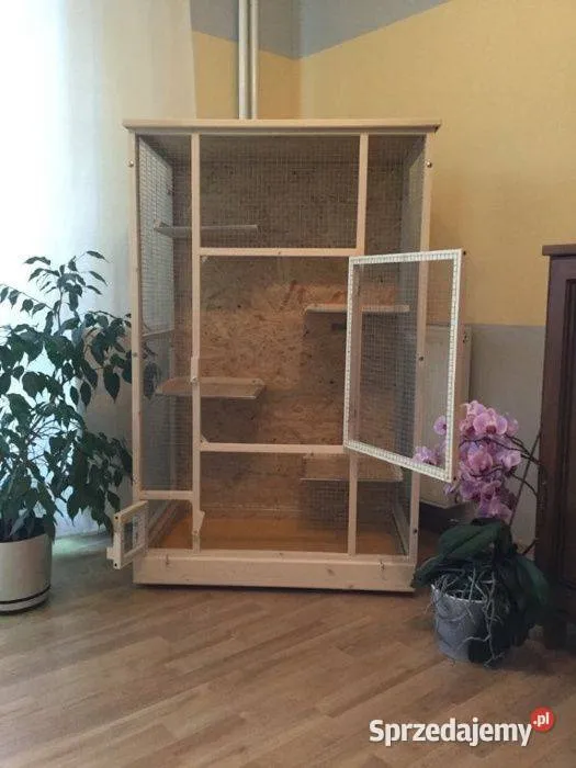 Zdjęcie Ile kosztuje klatka dla szynszyla? Ceny i porównanie modeli