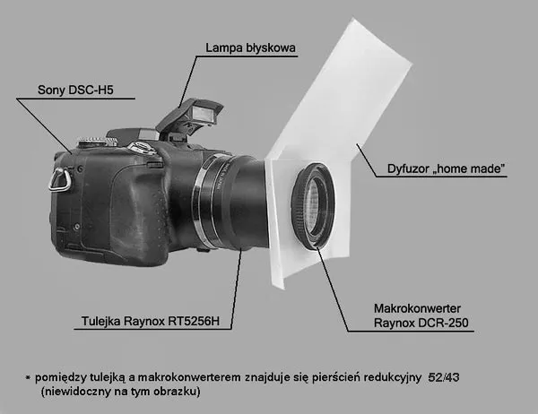 Zdjęcie Co to jest makro w aparacie i jak wykorzystać ten tryb w fotografii?