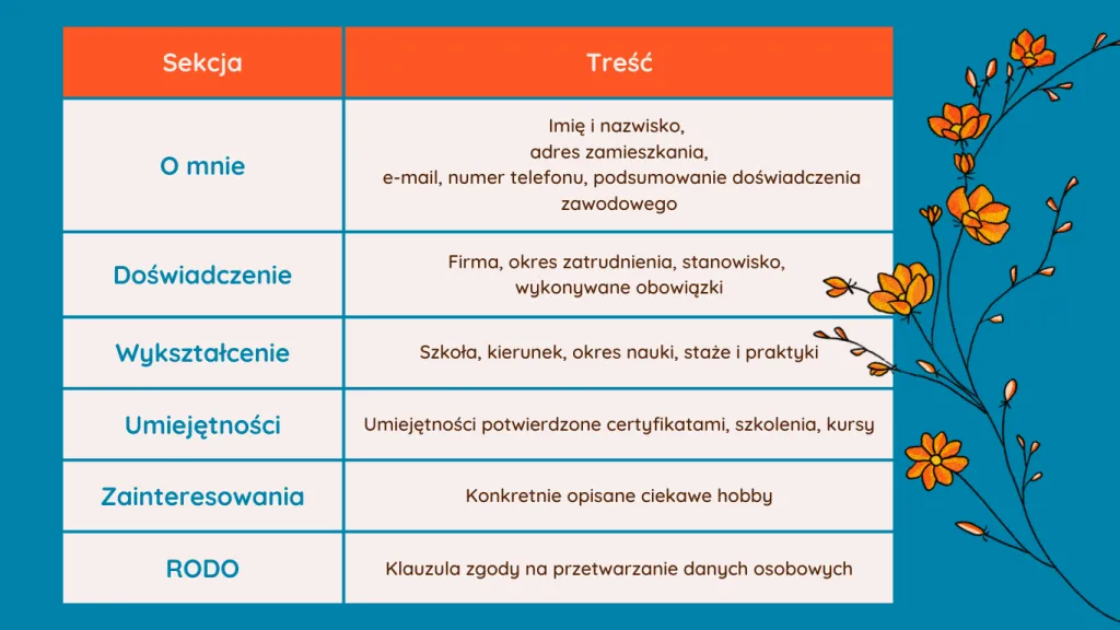 Zdjęcie Jak wpisać staż w CV, aby wyróżnić się w rekrutacji?