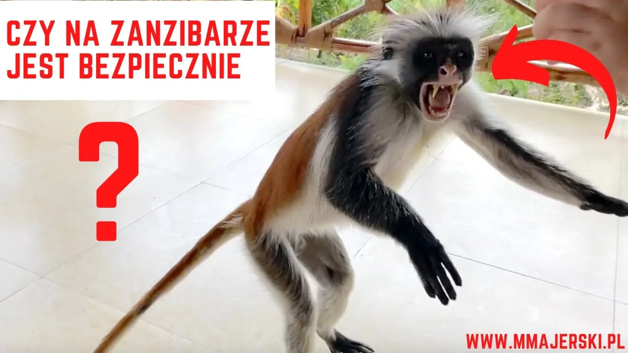 Zdjęcie Zanzibar czy jest bezpiecznie? Oto co musisz wiedzieć przed wyjazdem