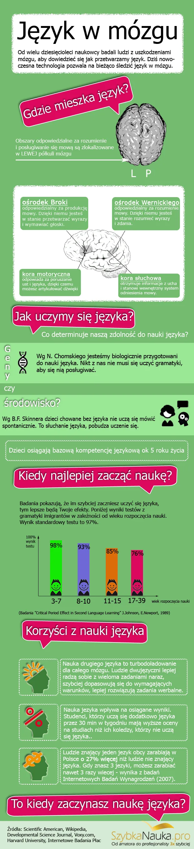 Zdjęcie Jak nauka języka wpływa na mózg i poprawia zdrowie psychiczne