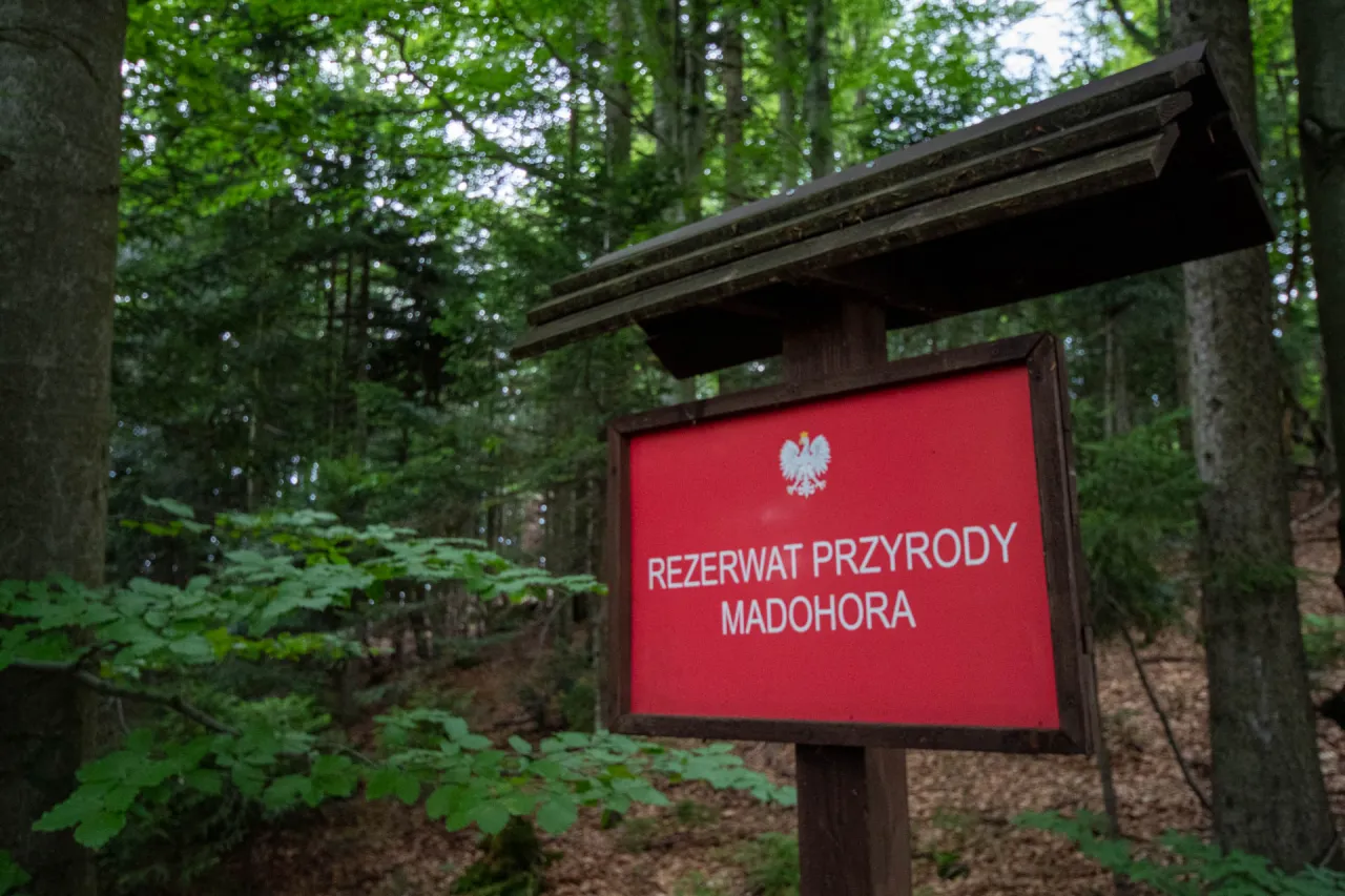 Zdjęcie Rezerwat przyrody Madohora: unikalne atrakcje i zagrożenia ochrony