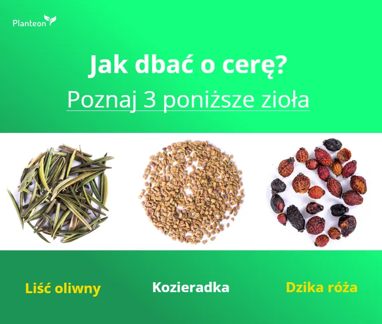 Zdjęcie Najskuteczniejsze herbaty na trądzik - naturalne sposoby na piękną cerę