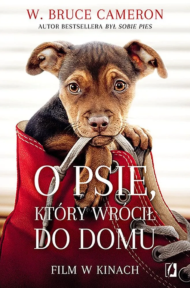 Zdjęcie O psie który wrócił do domu książka - wzruszająca historia lojalności