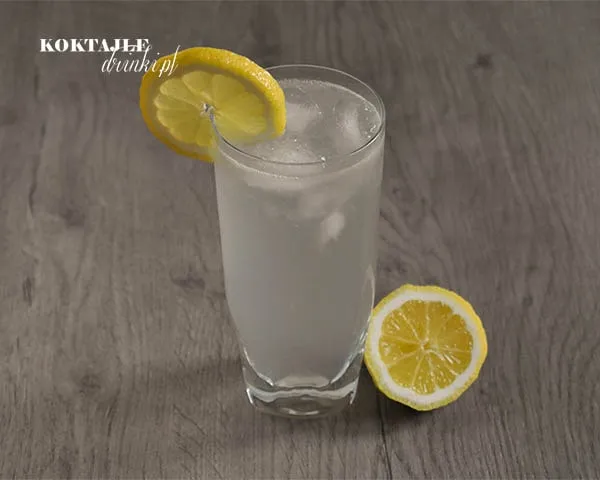 Zdjęcie Jak przygotować idealny drink john collins - przepisy i porady