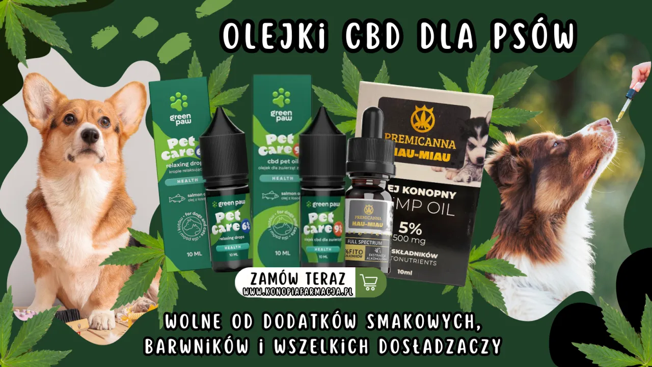 Zdjęcie Olej z konopi dla psa – jak poprawić zdrowie i samopoczucie pupila