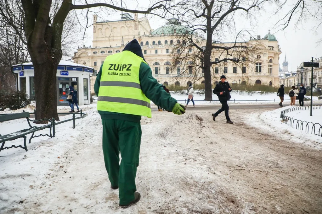Zdjęcie Skuteczne zamienniki soli na chodnik, które nie szkodzą środowisku