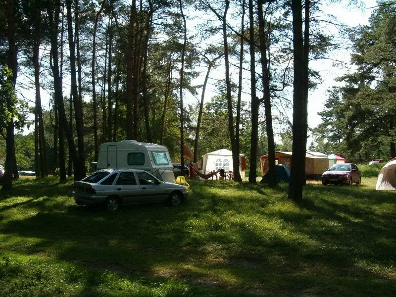 Zdjęcie Czy pole namiotowe Drzewicz to raj dla kamperów? Opinie turystów