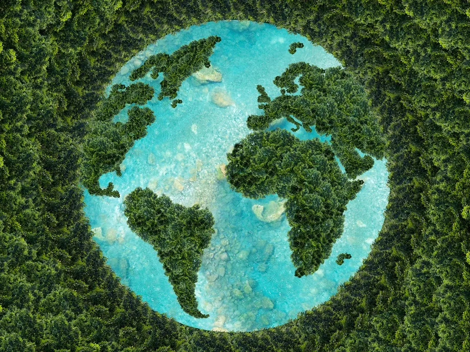 Zdjęcie Światowy dzień recyklingu: dlaczego warto dbać o naszą planetę