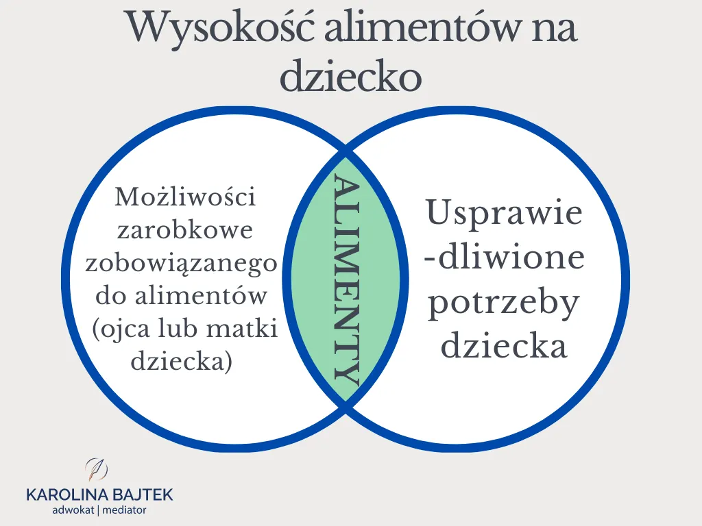 Zdjęcie Ile wynoszą alimenty na żonę: minimalne i średnie kwoty w praktyce