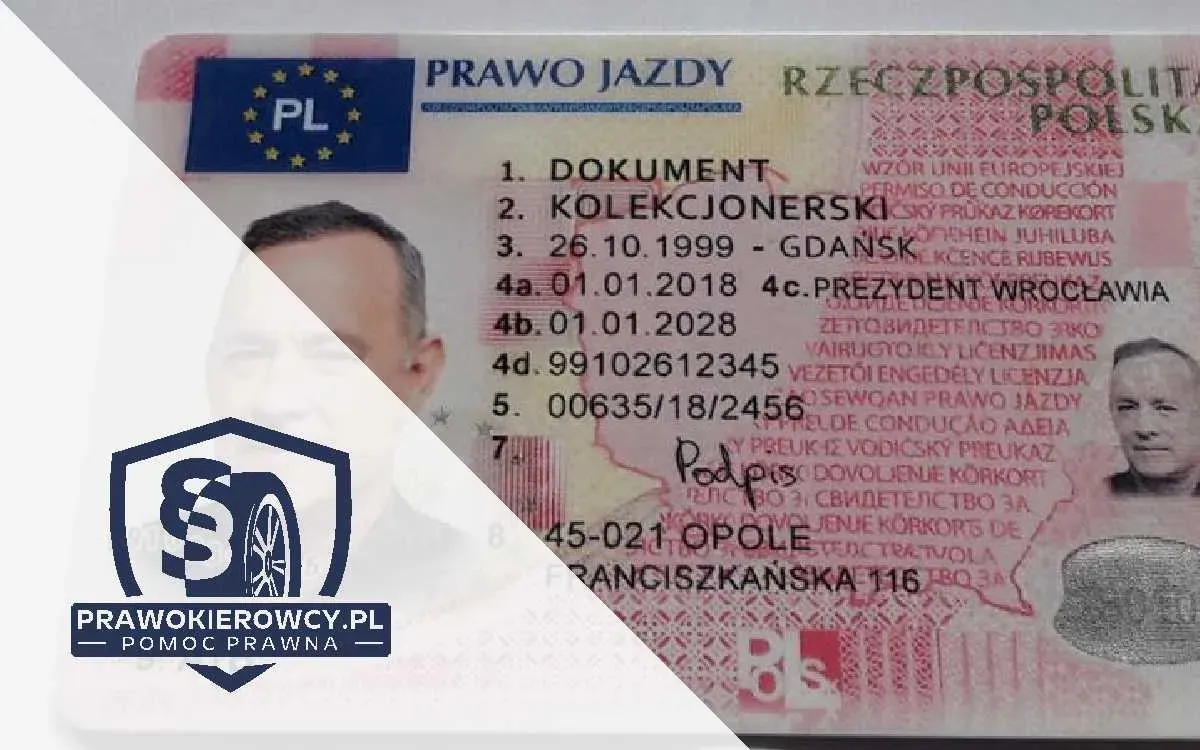 Zdjęcie W jakim kraju najłatwiej zdać prawo jazdy i uniknąć trudności?