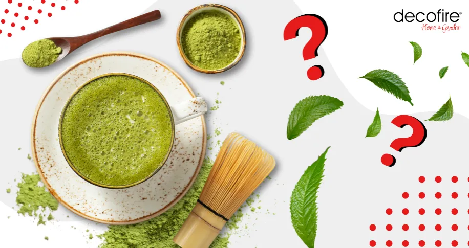 Zdjęcie Matcha latte co to? Odkryj smak i zdrowotne korzyści napoju