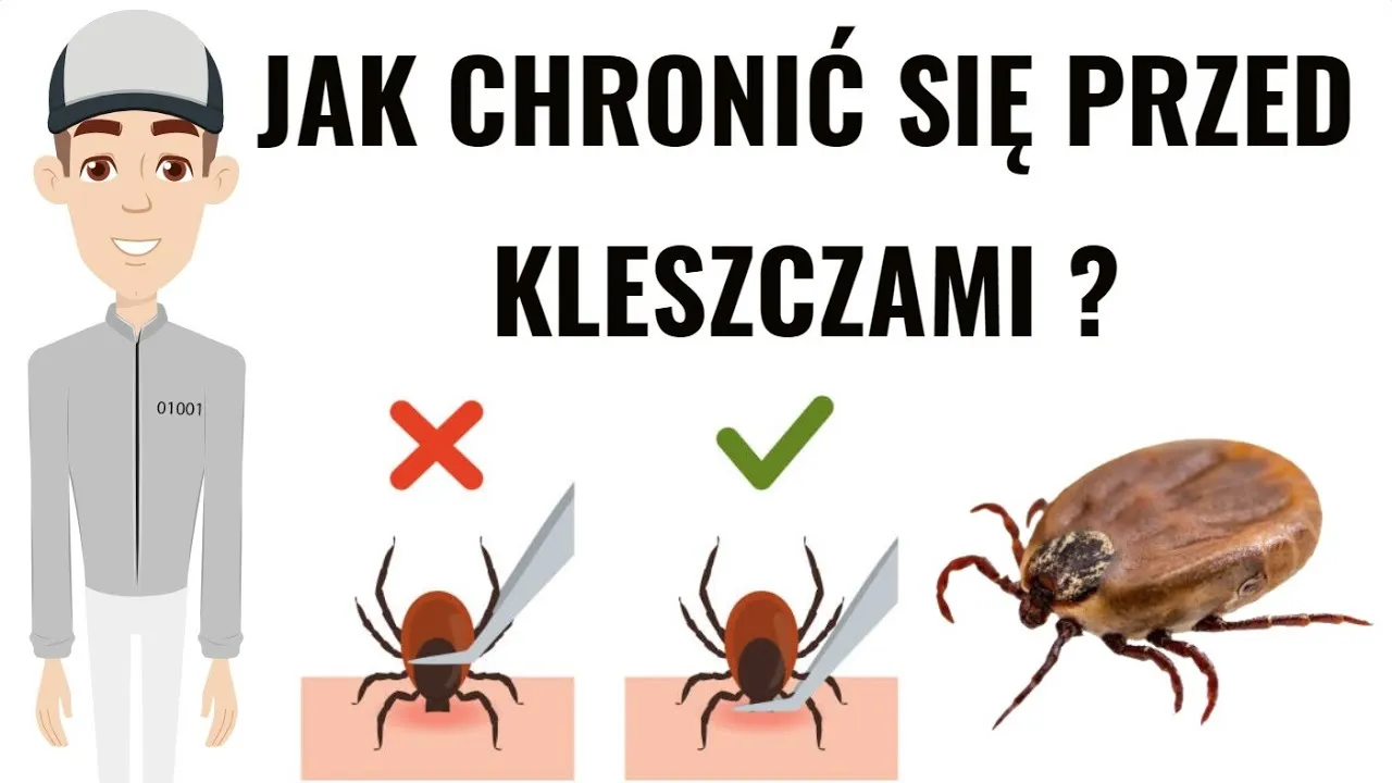 Zdjęcie Bezpieczne sposoby ochrony dziecka przed kleszczami - poradnik