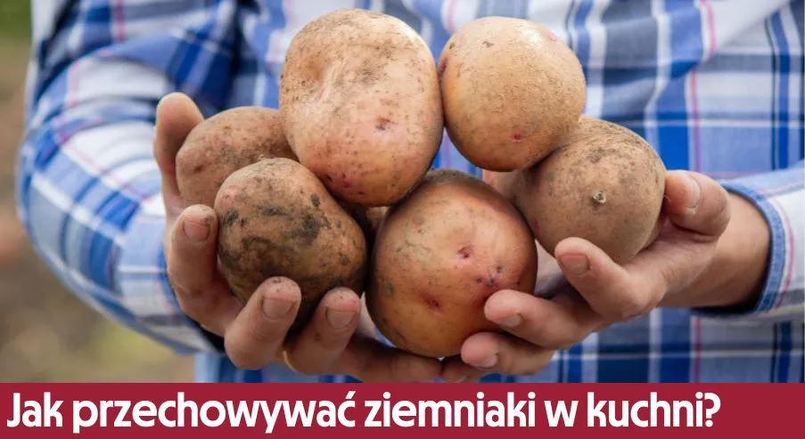 Zdjęcie Jak przechowywać ziemniaki w kuchni, aby uniknąć ich psucia?