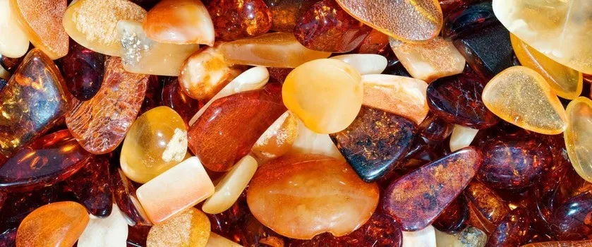 Zdjęcie Nalewka bursztynowa na co pomaga? Odkryj jej niezwykłe właściwości