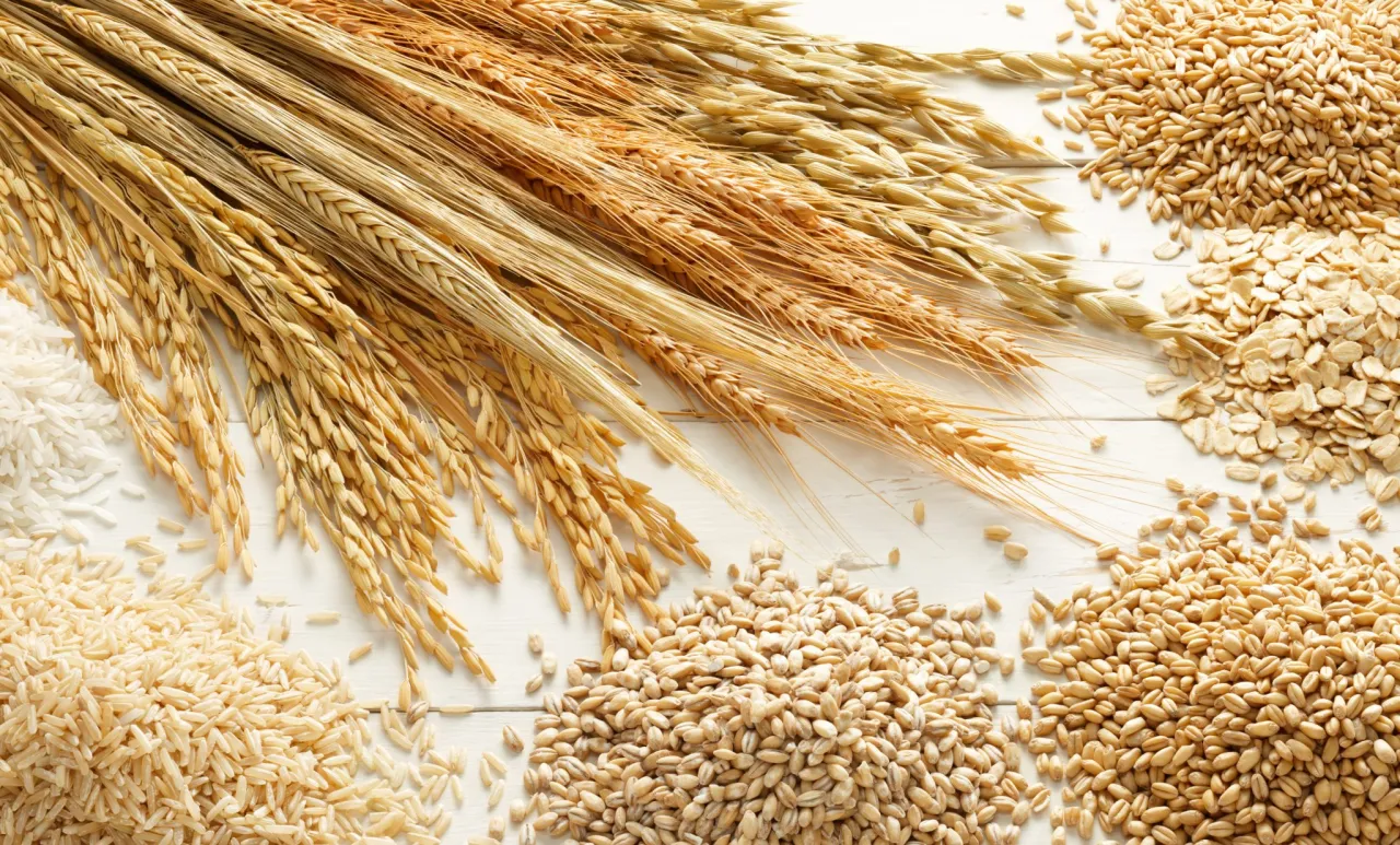 Zdjęcie Czy w owsie jest gluten? Prawda o zanieczyszczeniach i diecie bezglutenowej