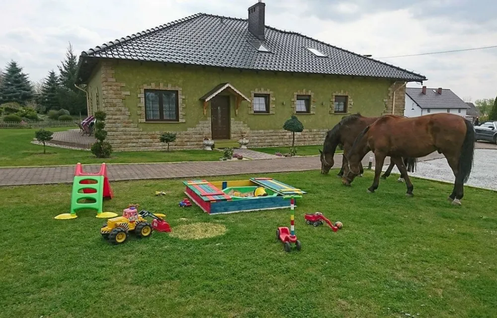Zdjęcie Agroturystyka Klekusiowo: Co warto wiedzieć o agroturystyce Klekusiowo?