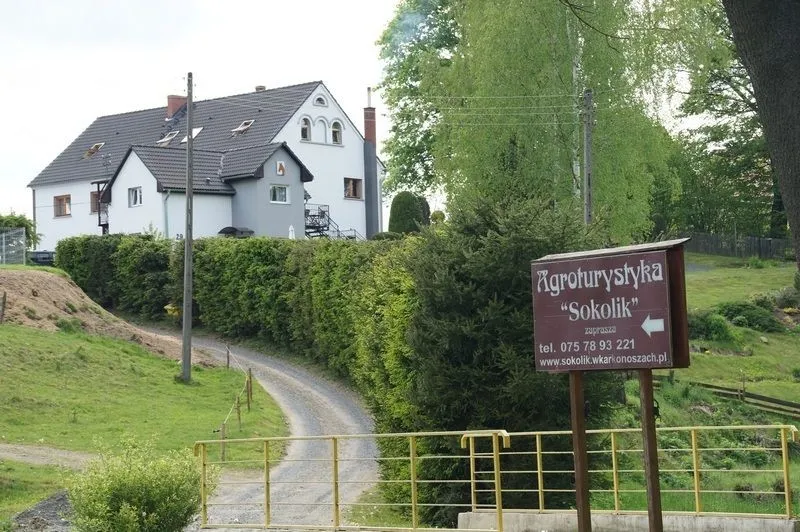 Zdjęcie Agroturystyka ze zwierzętami w Dolnym Śląsku: idealne miejsca dla rodzin