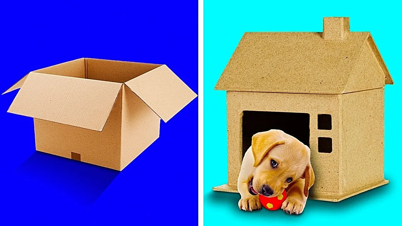Zdjęcie Jak zrobić budę dla psa z kartonu, aby zapewnić mu komfort i ochronę
