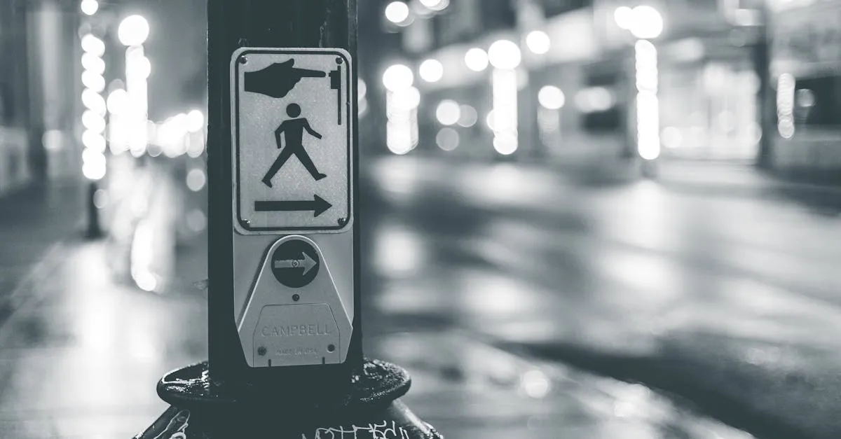 Zdjęcie Znaki drogowe dla dróg dla pieszych – Jakie są zasady i oznaczenia?