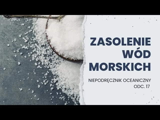 Zdjęcie Jakie jest zasolenie Bałtyku? Zaskakujące fakty o jego poziomie