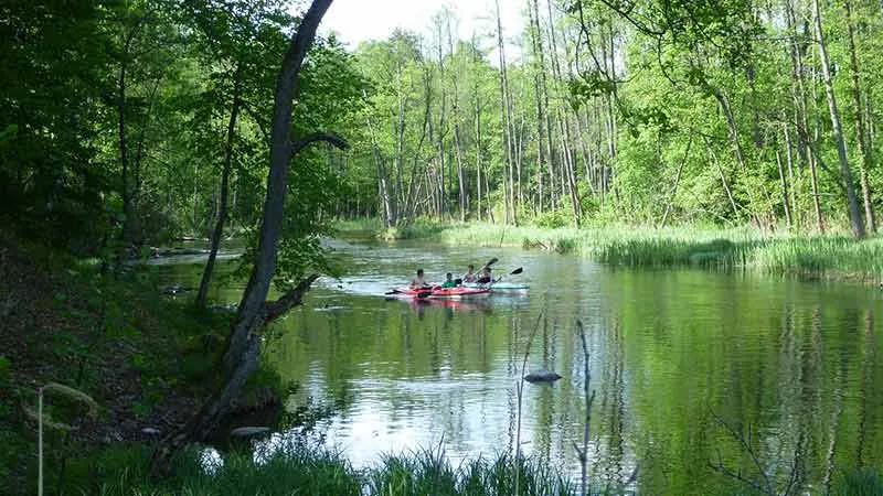 Zdjęcie Spływy kajakowe Giżycko: Trasy, Ceny i Praktyczne Porady