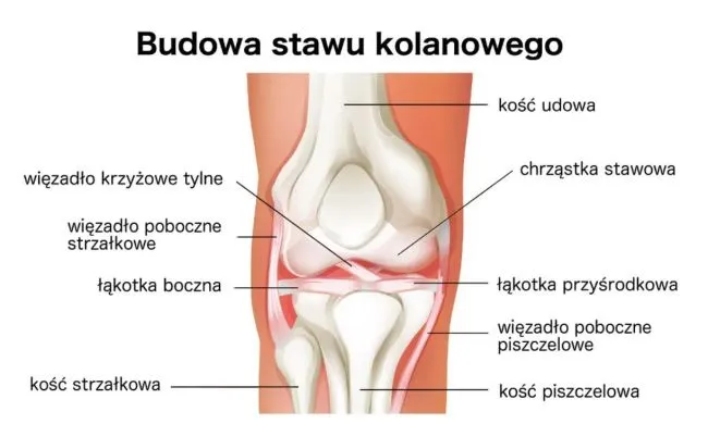 Zdjęcie Co pomaga na ból kolana? Skuteczne metody łagodzenia bólu stawów