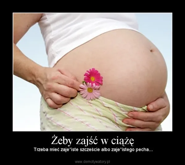 Zdjęcie Pomogę zajść w ciążę mem – zabawne podejście do starań o dziecko