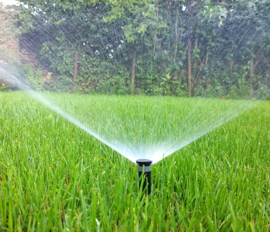 Zdjęcie Rain Bird czy Hunter? Zraszacze: Co wybrać dla Twojego ogrodu?